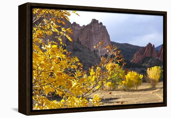 Yellow Colorado-duallogic-Framed Premier Image Canvas