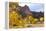 Yellow Colorado-duallogic-Framed Premier Image Canvas