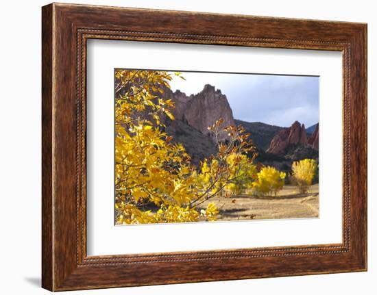 Yellow Colorado-duallogic-Framed Photographic Print