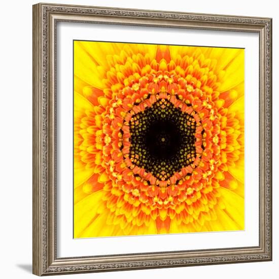 Yellow Concentric Flower Center: Mandala Kaleidoscopic Design-tr3gi-Framed Art Print