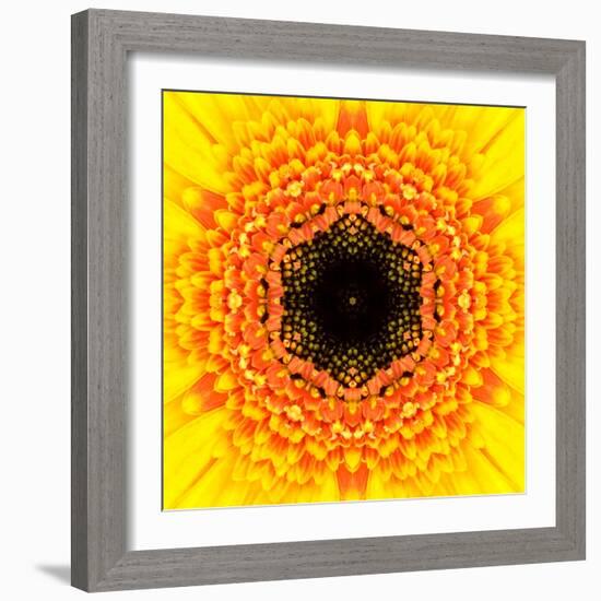 Yellow Concentric Flower Center: Mandala Kaleidoscopic Design-tr3gi-Framed Art Print