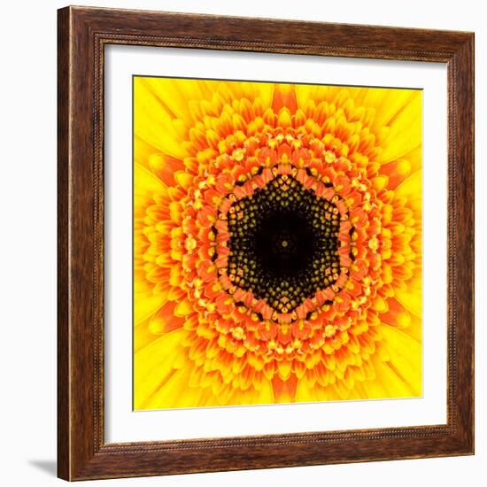 Yellow Concentric Flower Center: Mandala Kaleidoscopic Design-tr3gi-Framed Art Print