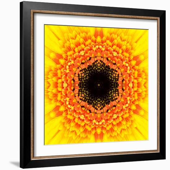 Yellow Concentric Flower Center: Mandala Kaleidoscopic Design-tr3gi-Framed Art Print