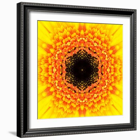 Yellow Concentric Flower Center: Mandala Kaleidoscopic Design-tr3gi-Framed Art Print