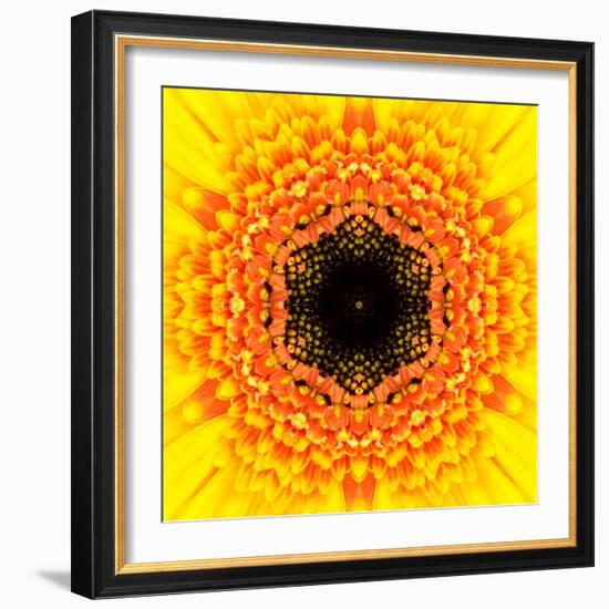 Yellow Concentric Flower Center: Mandala Kaleidoscopic Design-tr3gi-Framed Art Print