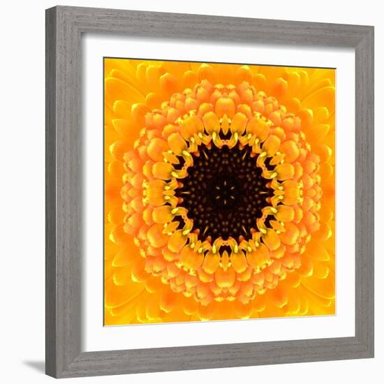 Yellow Concentric Flower Center: Mandala Kaleidoscopic Design-tr3gi-Framed Art Print