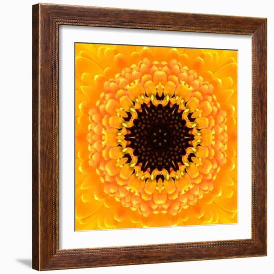 Yellow Concentric Flower Center: Mandala Kaleidoscopic Design-tr3gi-Framed Art Print