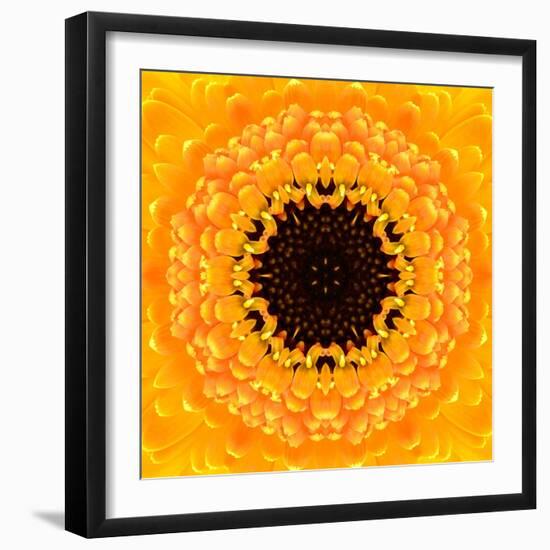 Yellow Concentric Flower Center: Mandala Kaleidoscopic Design-tr3gi-Framed Art Print