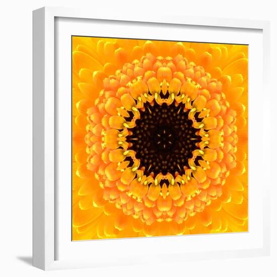 Yellow Concentric Flower Center: Mandala Kaleidoscopic Design-tr3gi-Framed Art Print