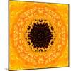 Yellow Concentric Flower Center: Mandala Kaleidoscopic Design-tr3gi-Mounted Art Print