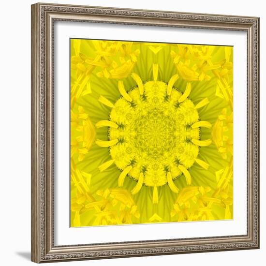 Yellow Concentric Flower Center: Mandala Kaleidoscopic Design-tr3gi-Framed Art Print