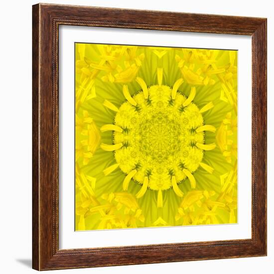 Yellow Concentric Flower Center: Mandala Kaleidoscopic Design-tr3gi-Framed Art Print