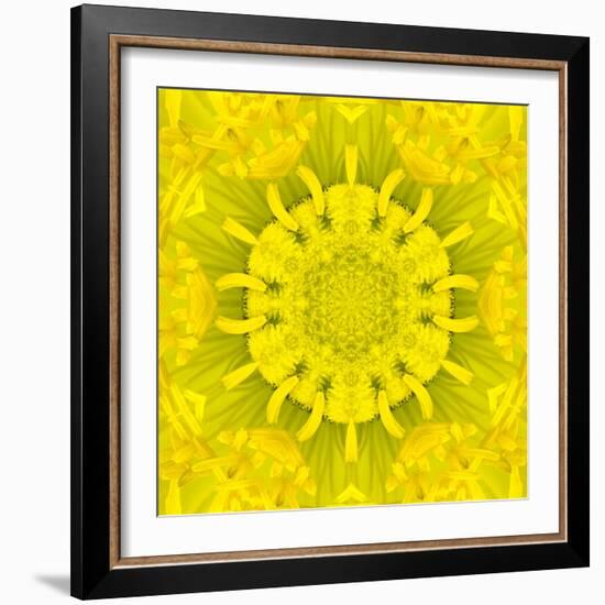 Yellow Concentric Flower Center: Mandala Kaleidoscopic Design-tr3gi-Framed Art Print