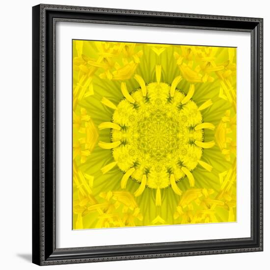 Yellow Concentric Flower Center: Mandala Kaleidoscopic Design-tr3gi-Framed Art Print