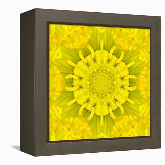 Yellow Concentric Flower Center: Mandala Kaleidoscopic Design-tr3gi-Framed Stretched Canvas