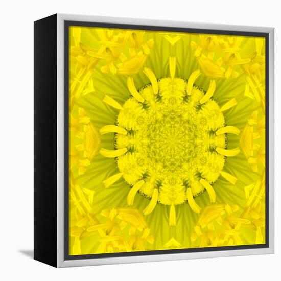 Yellow Concentric Flower Center: Mandala Kaleidoscopic Design-tr3gi-Framed Stretched Canvas