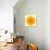 Yellow Concentric Marigold Mandala Flower-tr3gi-Premium Giclee Print displayed on a wall