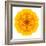 Yellow Concentric Marigold Mandala Flower-tr3gi-Framed Art Print