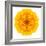 Yellow Concentric Marigold Mandala Flower-tr3gi-Framed Art Print