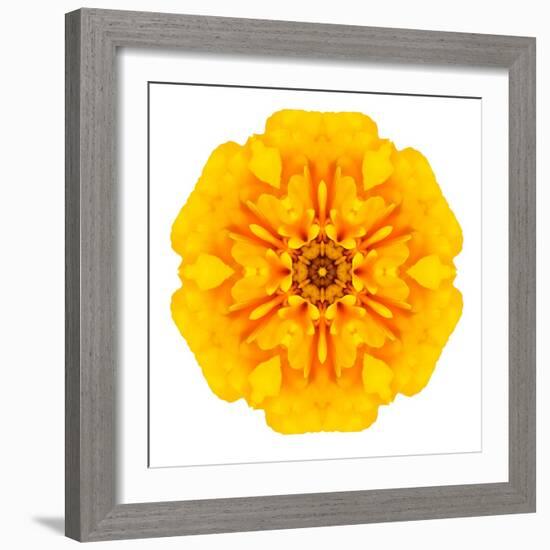 Yellow Concentric Marigold Mandala Flower-tr3gi-Framed Art Print