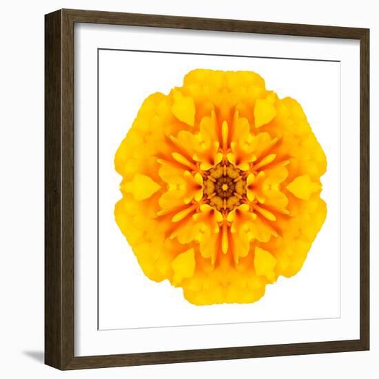 Yellow Concentric Marigold Mandala Flower-tr3gi-Framed Art Print