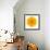 Yellow Concentric Marigold Mandala Flower-tr3gi-Framed Art Print displayed on a wall