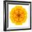 Yellow Concentric Marigold Mandala Flower-tr3gi-Framed Art Print