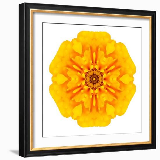 Yellow Concentric Marigold Mandala Flower-tr3gi-Framed Art Print