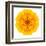 Yellow Concentric Marigold Mandala Flower-tr3gi-Framed Art Print