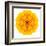 Yellow Concentric Marigold Mandala Flower-tr3gi-Framed Art Print