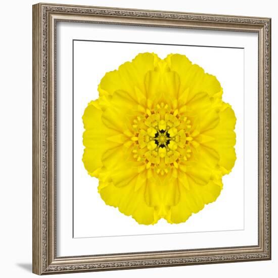 Yellow Concentric Marigold Mandala Flower-tr3gi-Framed Art Print