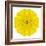 Yellow Concentric Marigold Mandala Flower-tr3gi-Framed Art Print