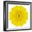 Yellow Concentric Marigold Mandala Flower-tr3gi-Framed Art Print