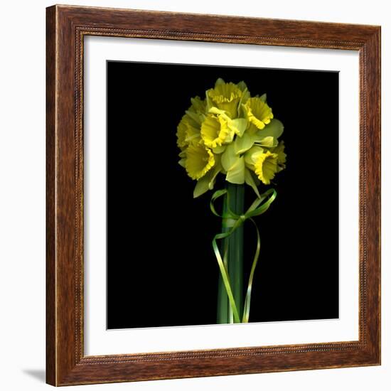 Yellow Daffodil Bouquet-Magda Indigo-Framed Photographic Print