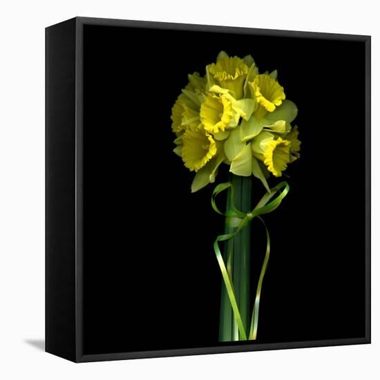 Yellow Daffodil Bouquet-Magda Indigo-Framed Premier Image Canvas