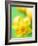 Yellow daffodil-null-Framed Photographic Print