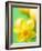 Yellow daffodil-null-Framed Photographic Print