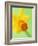 Yellow daffodil-null-Framed Photographic Print