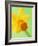 Yellow daffodil-null-Framed Photographic Print