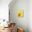 Yellow daffodil-null-Mounted Photographic Print displayed on a wall