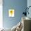 Yellow daffodil-null-Mounted Photographic Print displayed on a wall