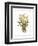 Yellow Daffodils-unknown Capello-Framed Art Print