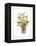 Yellow Daffodils-unknown Capello-Framed Stretched Canvas