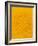 Yellow Dahlia Detail-John McAnulty-Framed Photographic Print