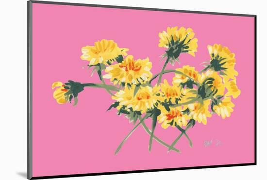 Yellow Dandelions on Pink-Ania Zwara-Mounted Photographic Print