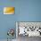 Yellow Dart-Linda Wride-Photographic Print displayed on a wall