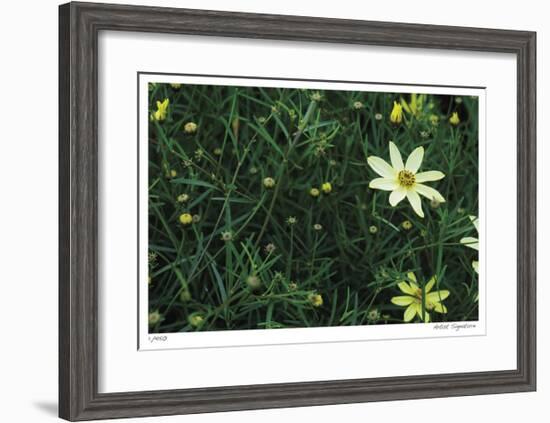 Yellow Detail-Stacy Bass-Framed Giclee Print