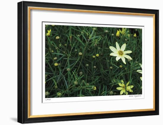 Yellow Detail-Stacy Bass-Framed Giclee Print