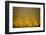 Yellow Diamonds-Adrian Campfield-Framed Photographic Print