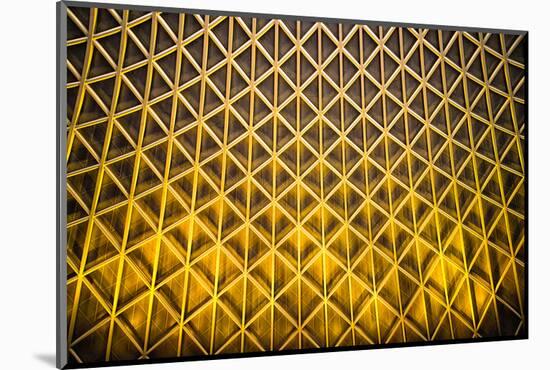 Yellow Diamonds-Adrian Campfield-Mounted Photographic Print